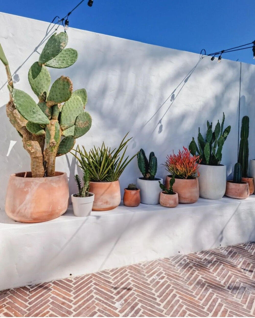 Terraza